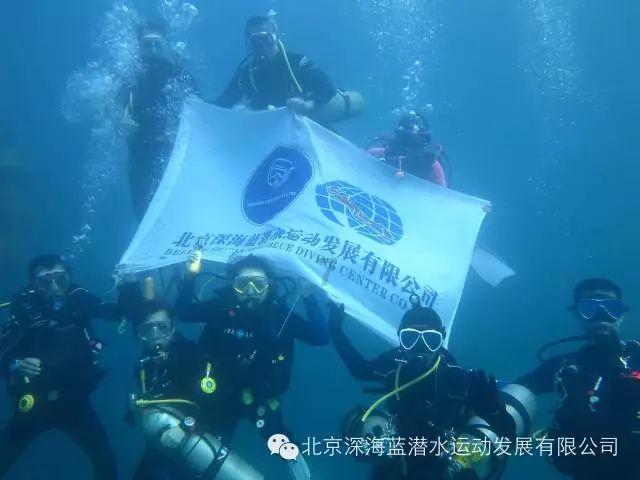 植物大战僵尸9