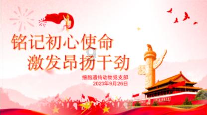 组装机械盔头龙2
